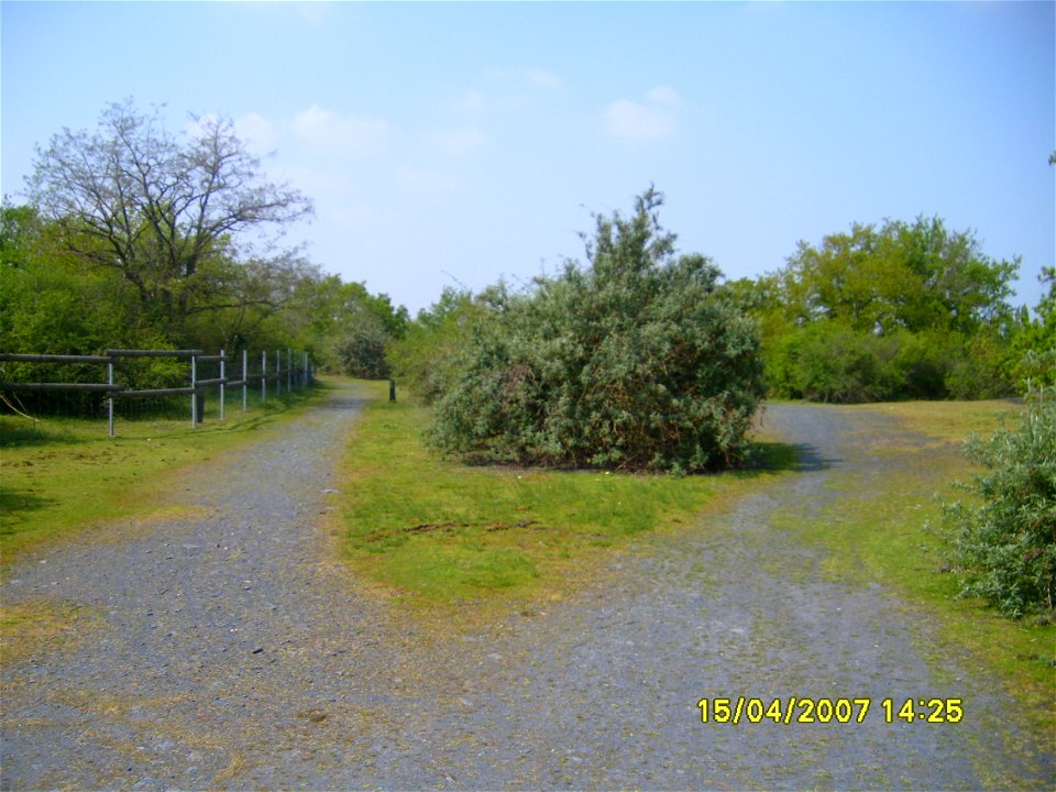 200704_0215