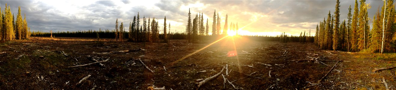 Fire barrier on Tetlin NWR