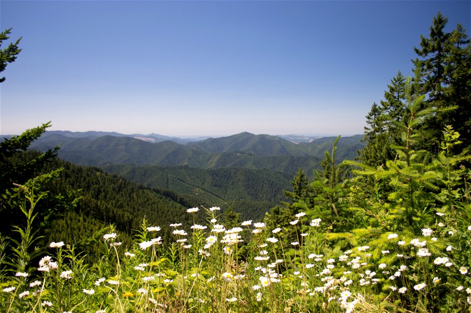 untitled-1263jpg_49385111438_o