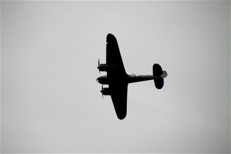 IMG_1641