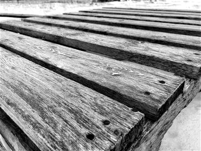 2022/365/13 Wood and White