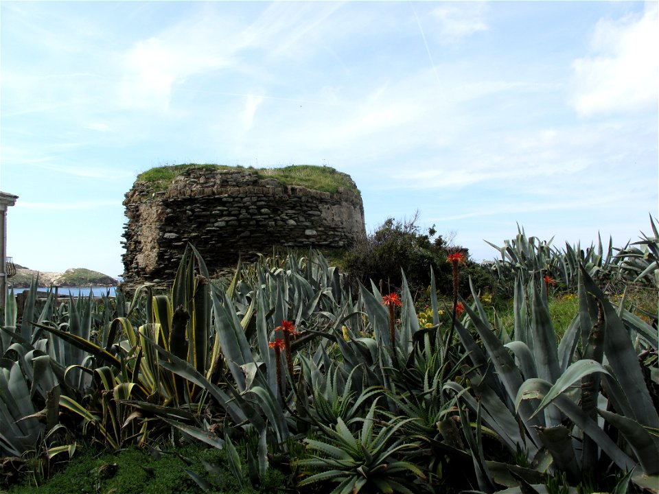 Centuri, Cap Corse.
