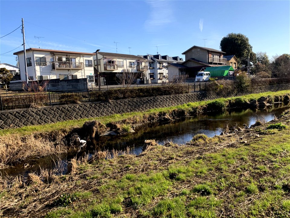 Kurome River in Koyama, Higashikurume-shi
