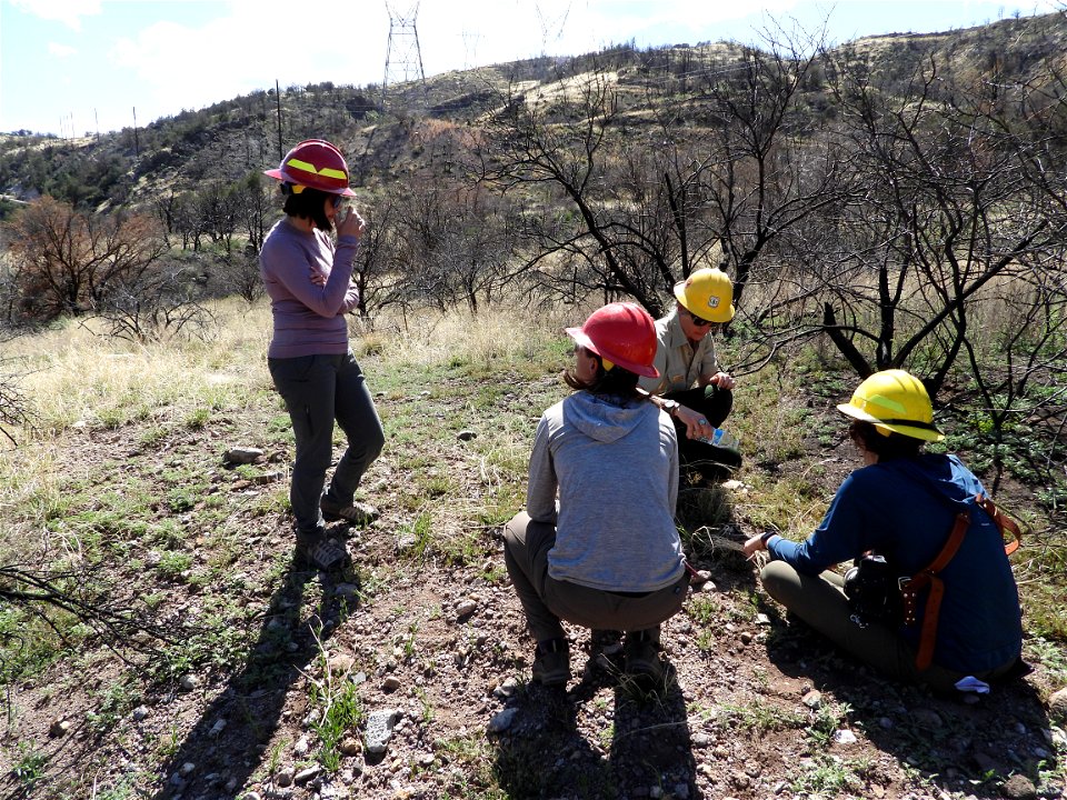 Fossil Creek Soil Monitoring photo