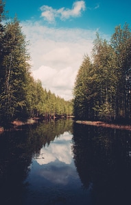 Trees sky lake photo