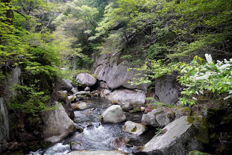 Senga falls, Shosenkyo photo