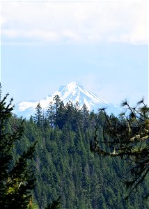 untitled-1164jpg_49364084243_o