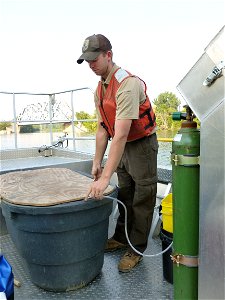 Oxygen Delivery to Fish photo