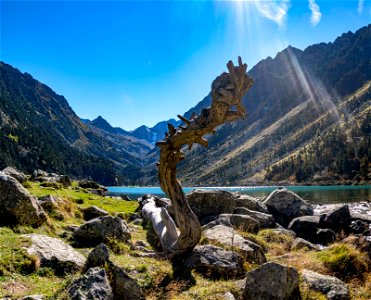 ce n'est pas le monstre du loch ness, mais celui du lac de gaube photo