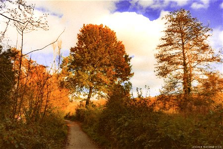 River Medway Towpath Allington Maidstone