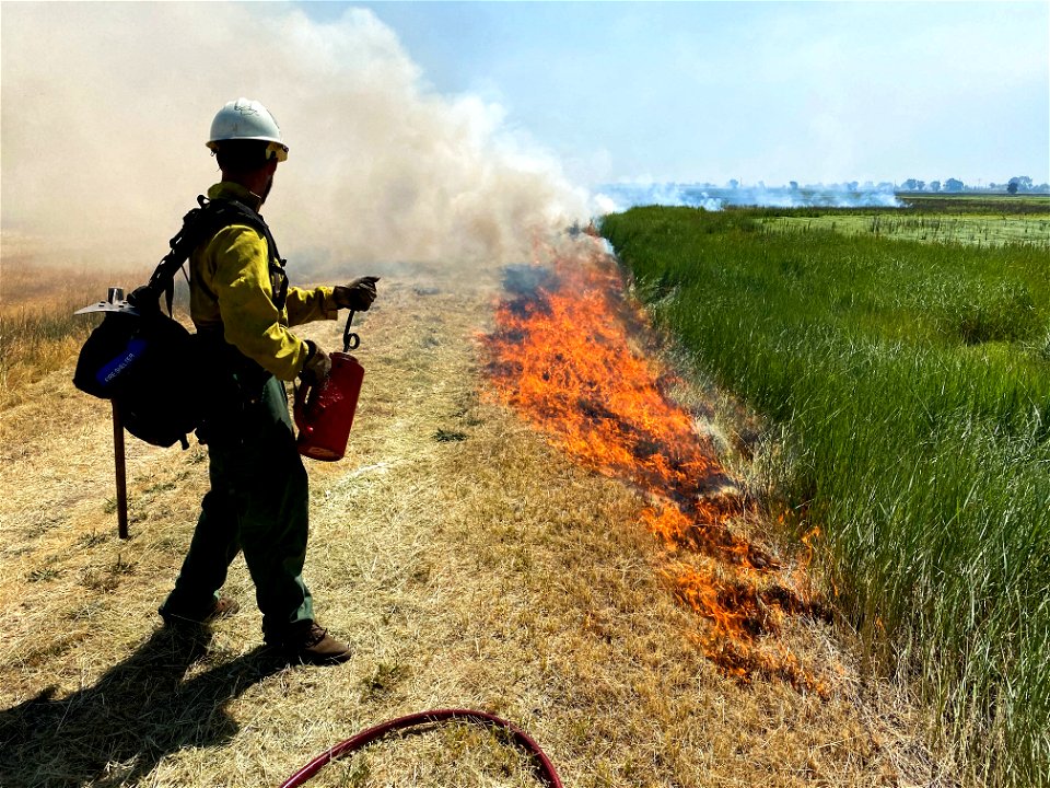 BLM’s Folsom Lake Veterans Crew perform RX Burn at Cosumnes River Preserve restoring critical habitat. photo