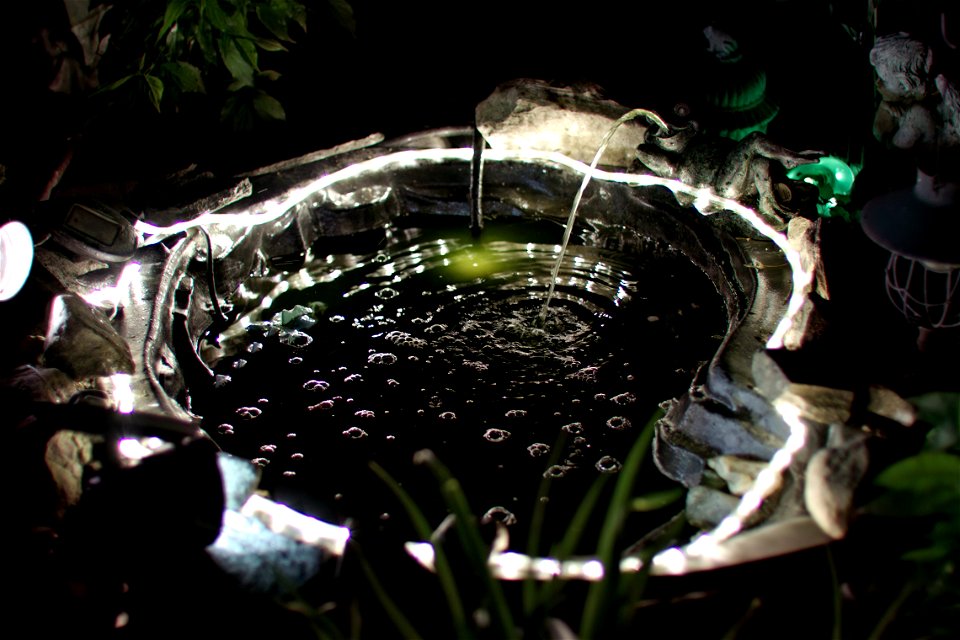 Night shot of the garden