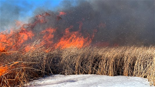 2021 USFWS Fire Employee Photo Contest Category: Fuels Management photo