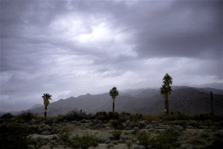 Storm clouds over the Oasis of Mara