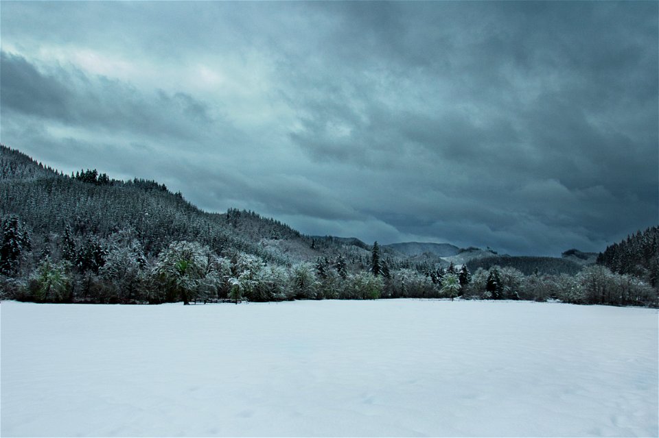 December snow, Oregon