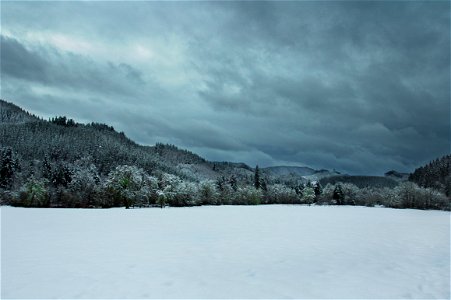 December snow, Oregon photo