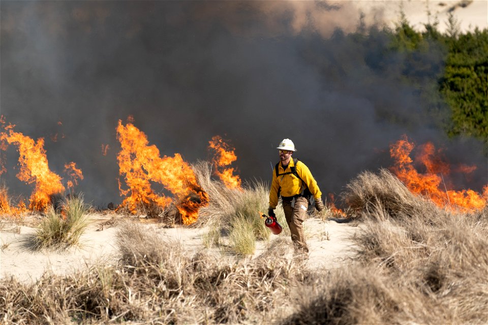 Siuslaw Oregon Dunes Prescribed Burn 2022 photo