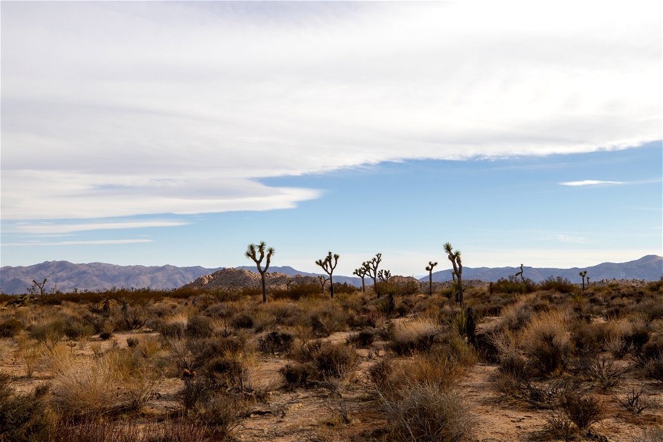 View from the Riding and Hiking Trail near Geology Tour Road
