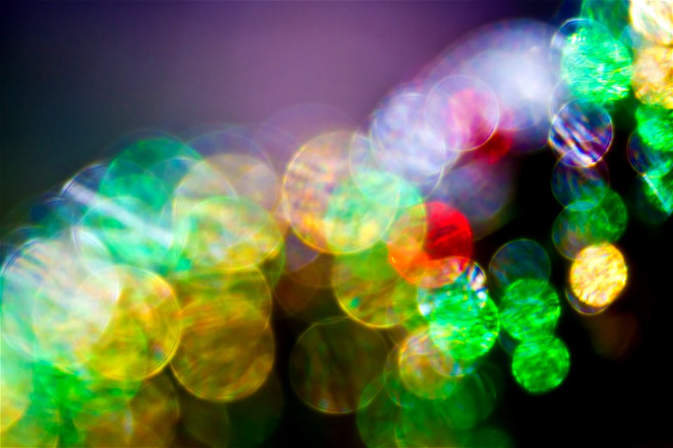 Christmas rules, bokeh?