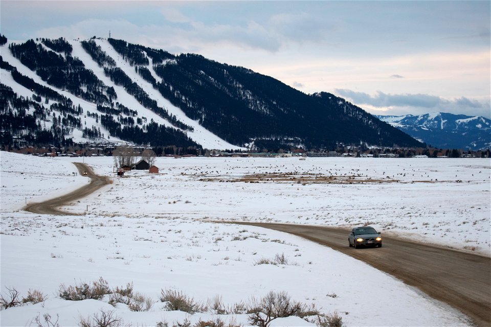 Refuge Road on the National Elk Refuge