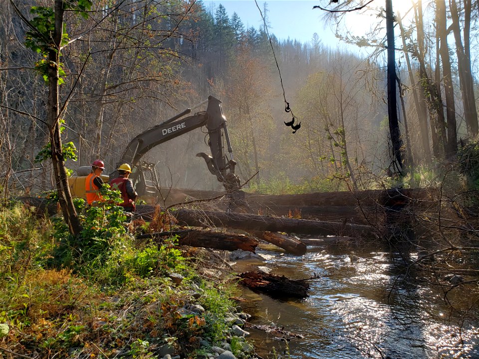 Placing LWD from the perspective of the riparian area