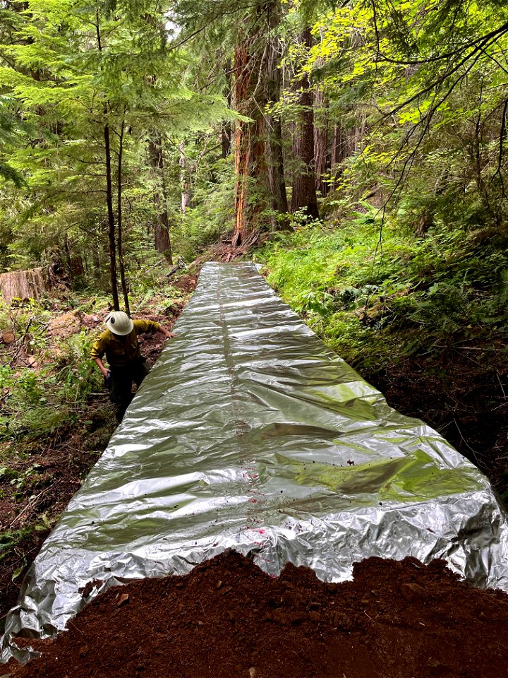 Black Creek Trail bridge wrapped for protection during the Cedar Creek Fire on the Willamette National Forest, 8-20-22