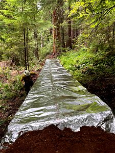 Black Creek Trail bridge wrapped for protection during the Cedar Creek Fire on the Willamette National Forest, 8-20-22