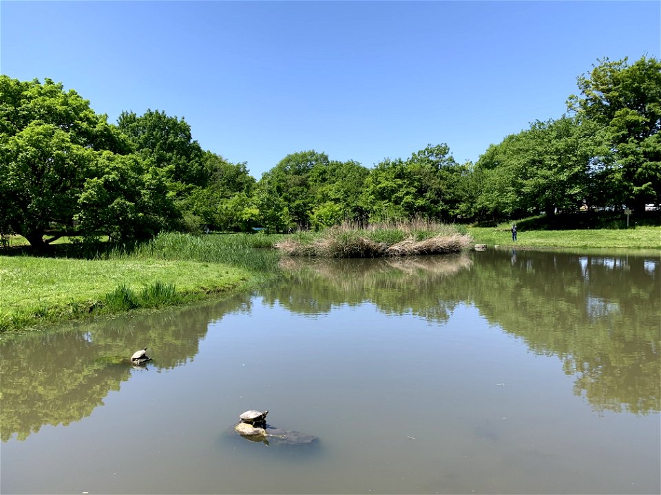 Kiyose Kanayama Green Space Park