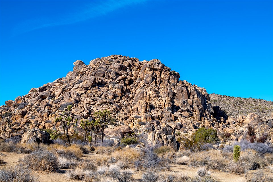 Joshua Tree National Park