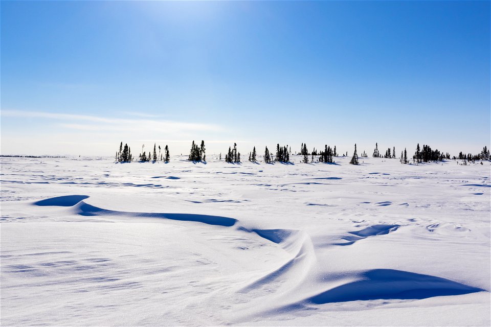 Textures of snow at Selawik National Wildlife Refuge