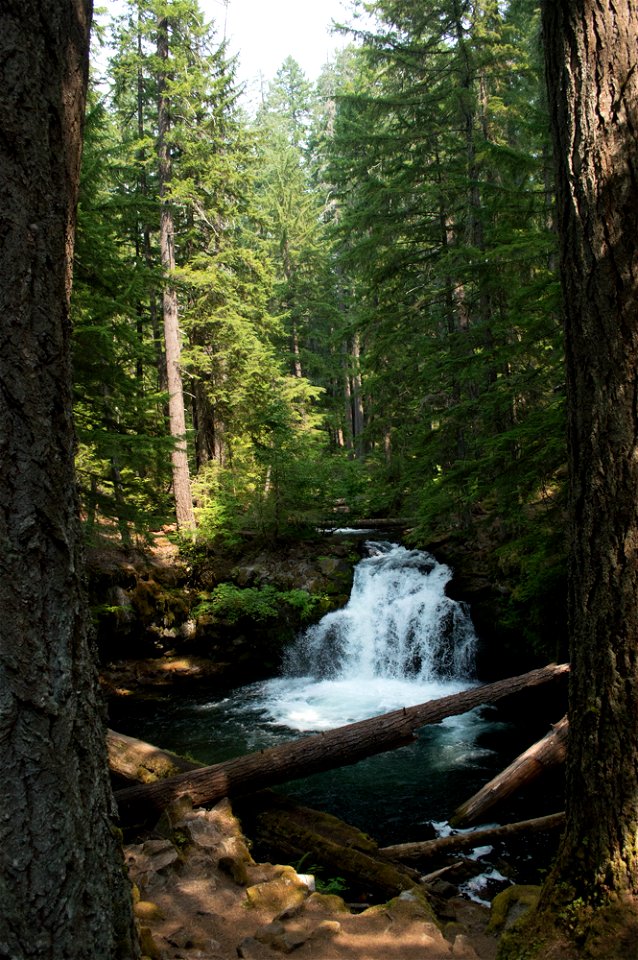 untitled-1552jpg_49364693462_o