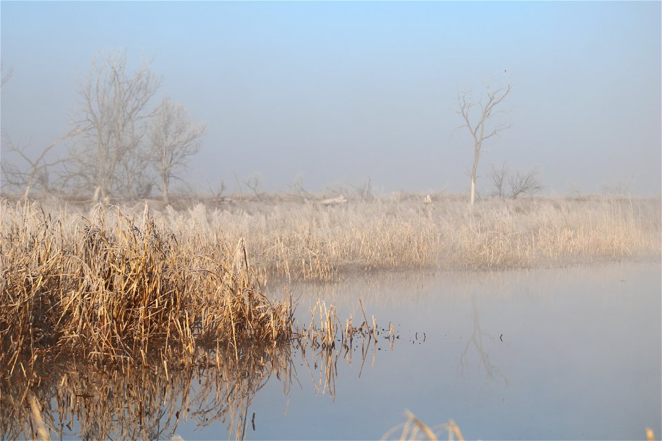 Frosty Morning Owens Bay Lake Andes National Wildlife Refuge South Dakota photo