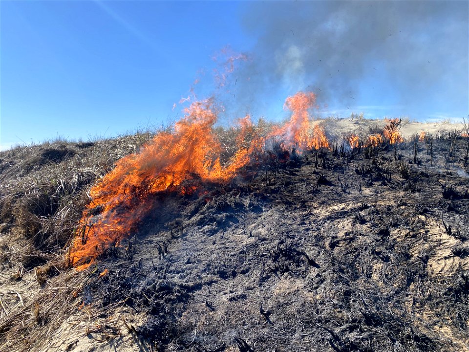 Siuslaw Oregon Dunes Prescribed Burn 2022