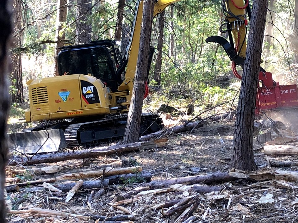 Mastication work at 'Inimim Forest