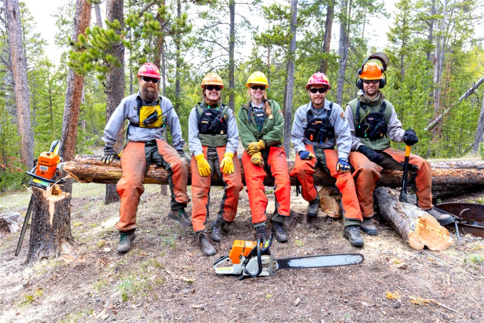 Hazard Tree Removal: hazard tree team photo