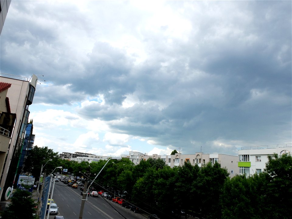 nori-sediu2015_0526_164915(1)