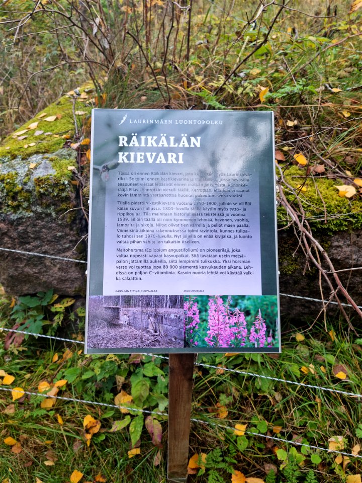 Laurinmäki Janakkala