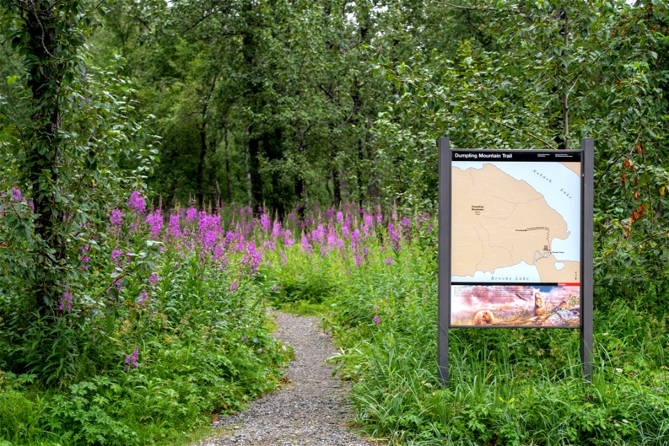 The trailhead to Dumpling Overlook - NPS Photo/L. Law