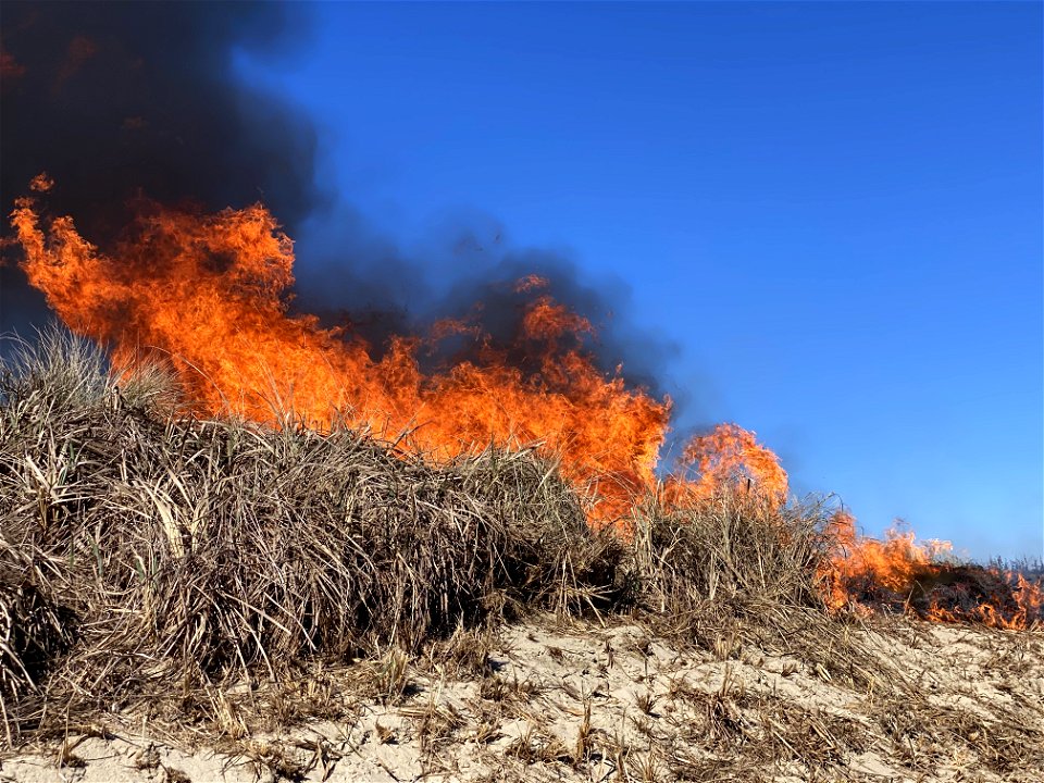 Siuslaw Oregon Dunes Prescribed Burn 2022