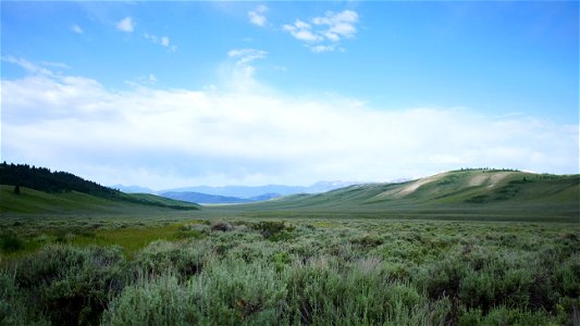 National Elk Refuge Landscape