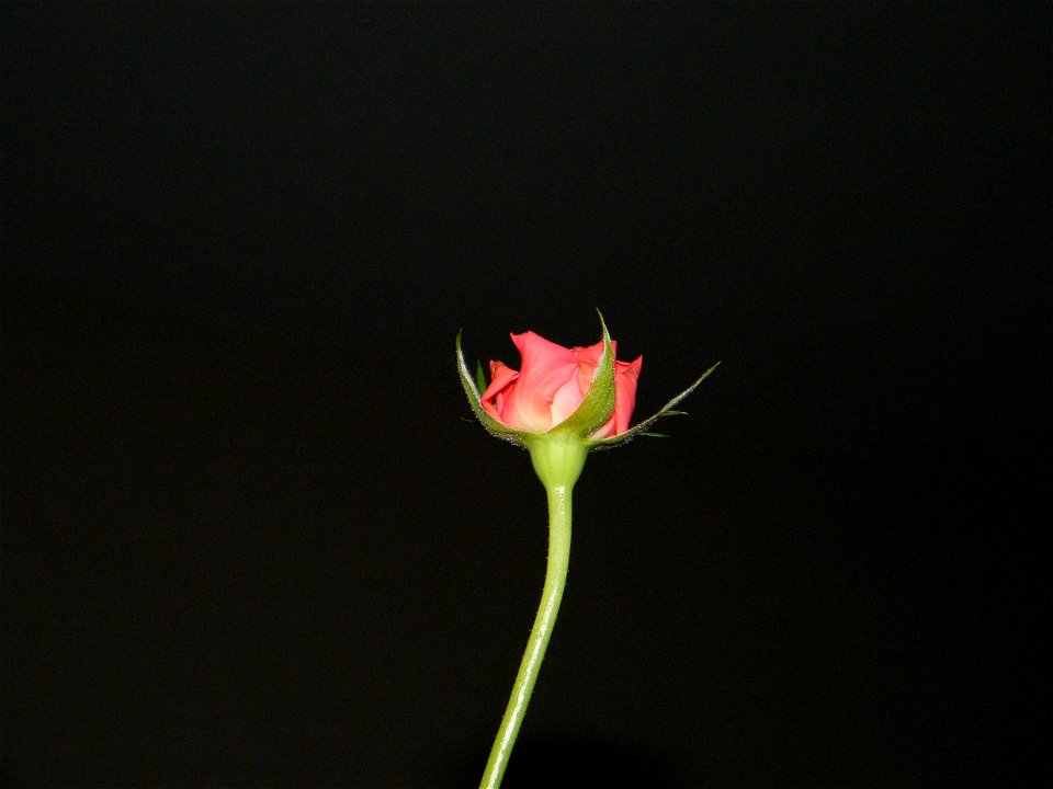 trandfmic_timelps2011_1109_002830