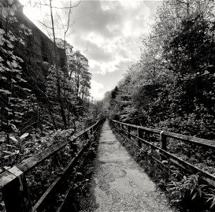 Long Walk through Skipton Castle Woods