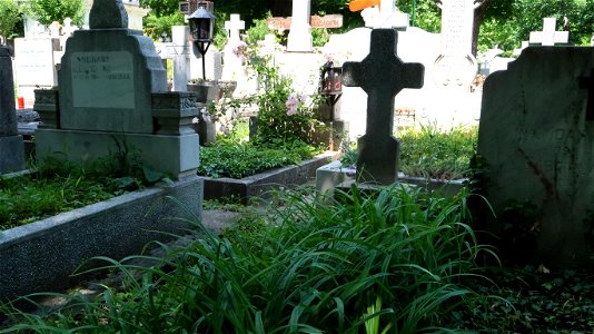 Bellu_cemetery (56) photo