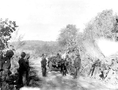 Marines using ox carts to move up through the front lines. photo