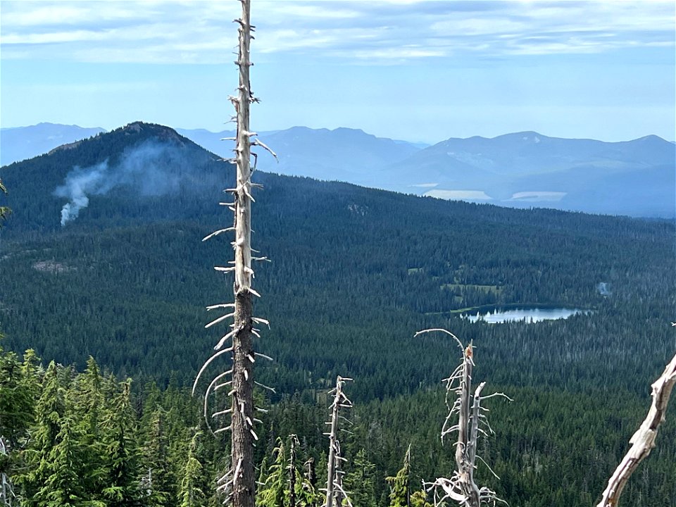 Smoke report on Willamete National Forest 080922