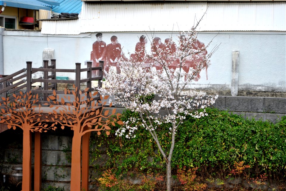 Chuncheon Spring 2023