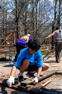Show Your Love for Shenandoah