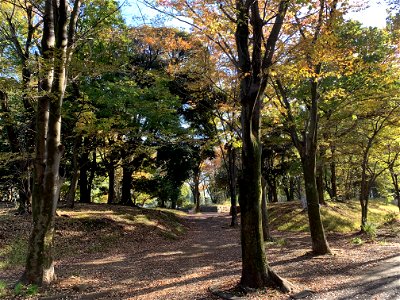 Takiyama Park, Higashikurume-shi in November