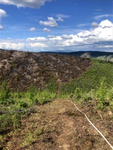 2021 USFWS Fire Employee Photo Contest Category: Landscape and Fire