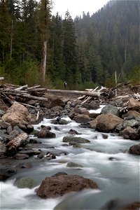PNTA-Swift Creek-Mount Baker-7 photo